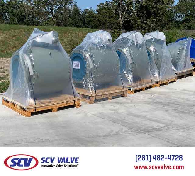 bal_14.jpg bal_14.jpg