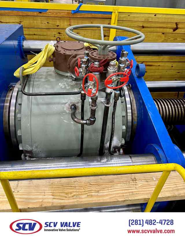 bal_165.jpg bal_165.jpg