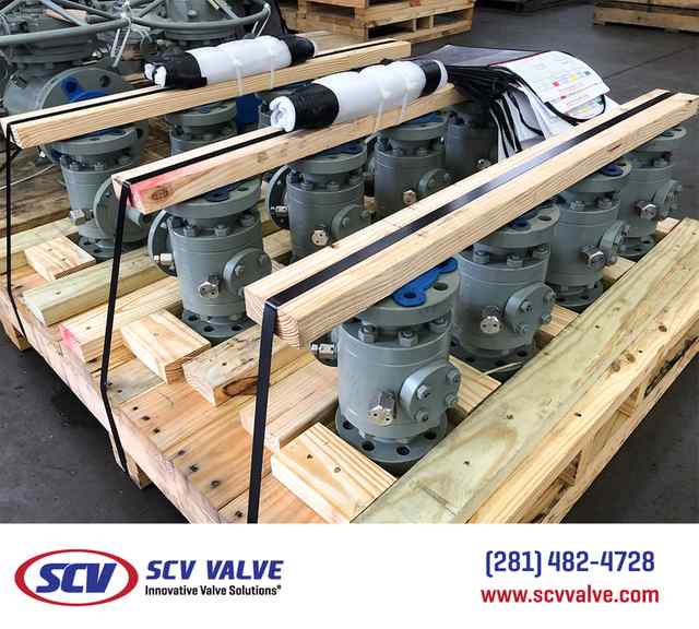 bal_38.jpg bal_38.jpg