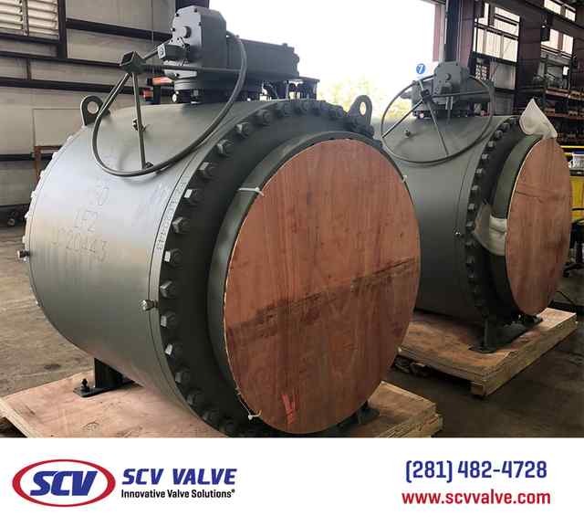 bal_41.jpg bal_41.jpg