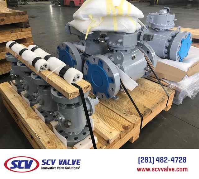 bal_44.jpg bal_44.jpg