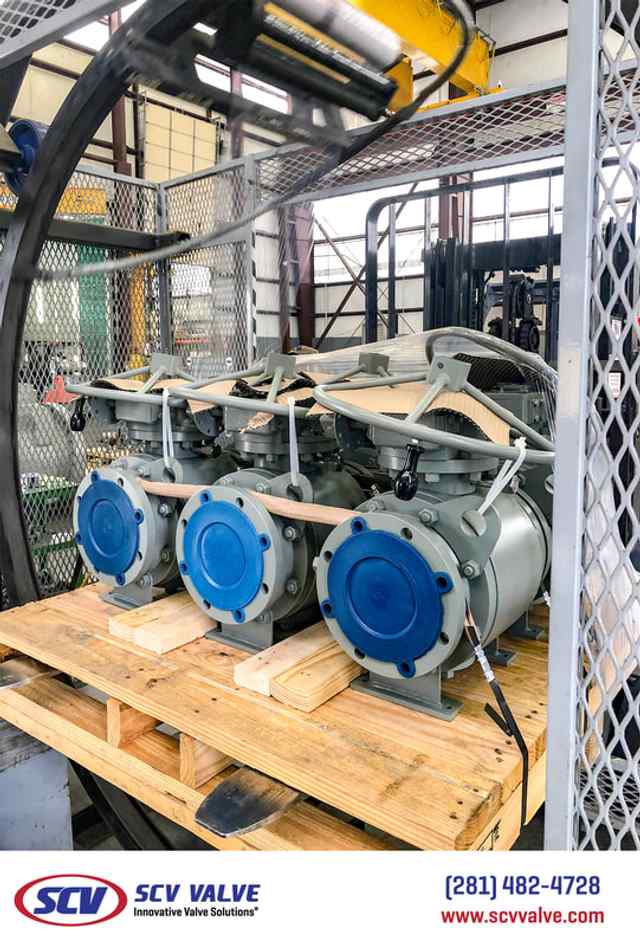 bal_45.jpg bal_45.jpg