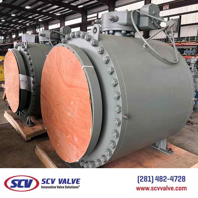 bal_50.jpg bal_50.jpg