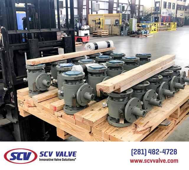 bal_53.jpg bal_53.jpg