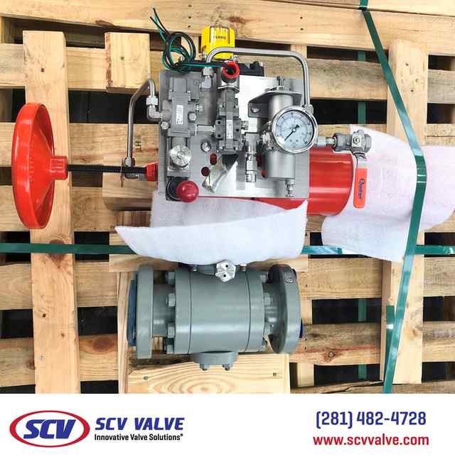 bal_61.jpg bal_61.jpg