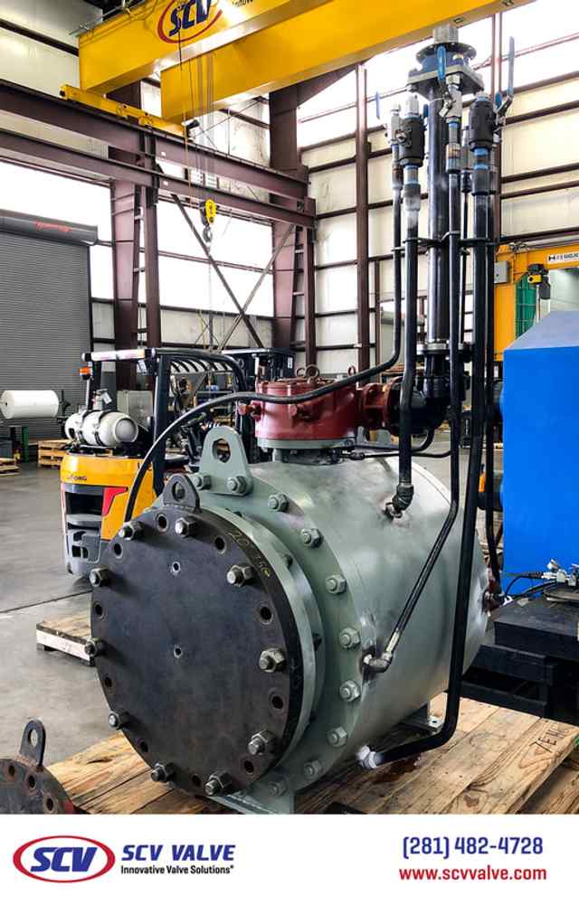 bal_62.jpg bal_62.jpg