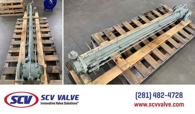 bal_66.jpg bal_66.jpg