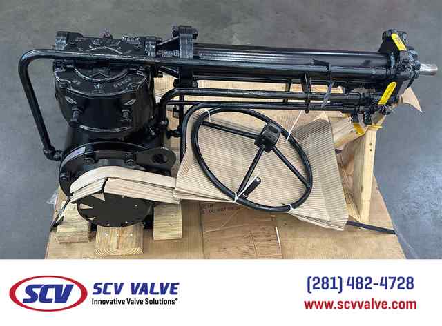 bal_70.jpg bal_70.jpg