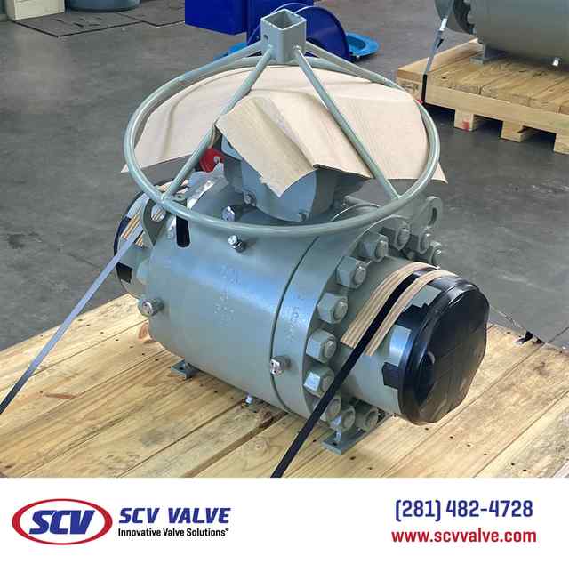 bal_71.jpg bal_71.jpg