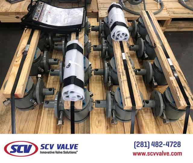 bal_78.jpg bal_78.jpg