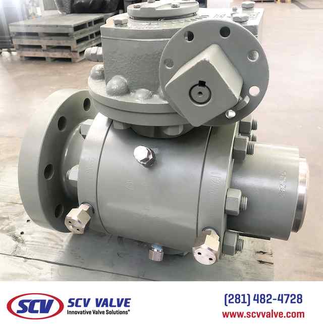 bal_91.jpg bal_91.jpg