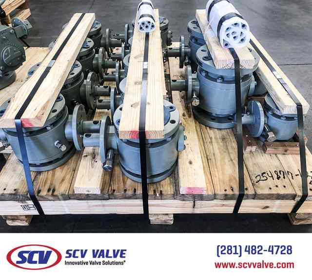 bal_93.jpg bal_93.jpg