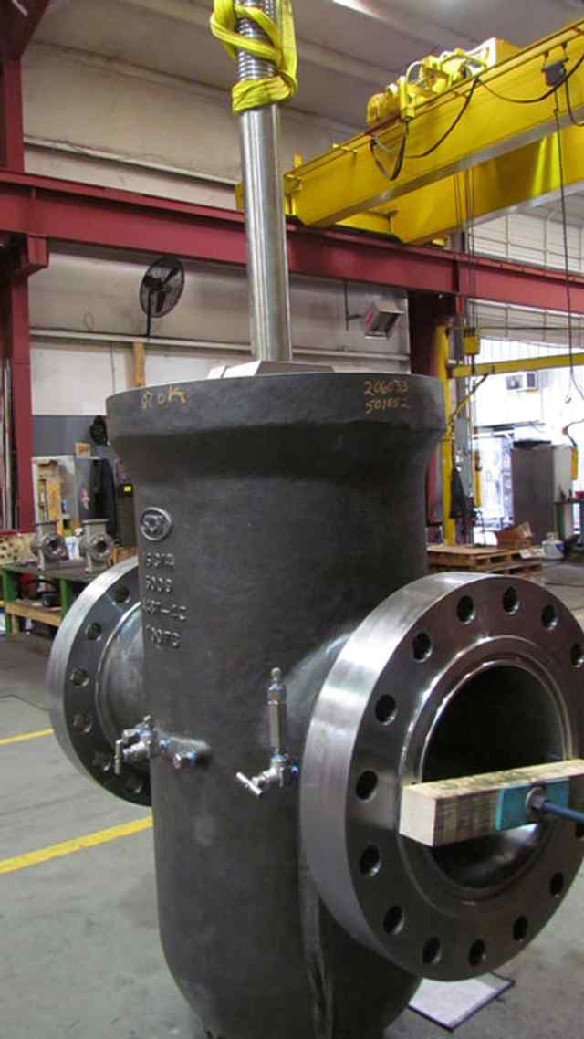 img_1590.jpg img_1590.jpg