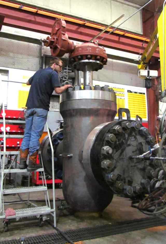 img_1683.jpg img_1683.jpg