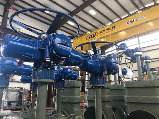 img_2947.jpg img_2947.jpg