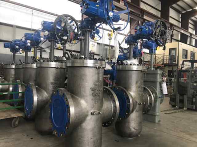 img_2978.jpg img_2978.jpg