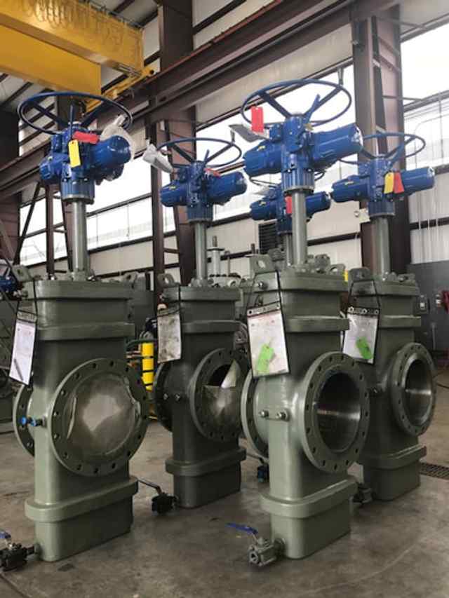 img_2980.jpg img_2980.jpg