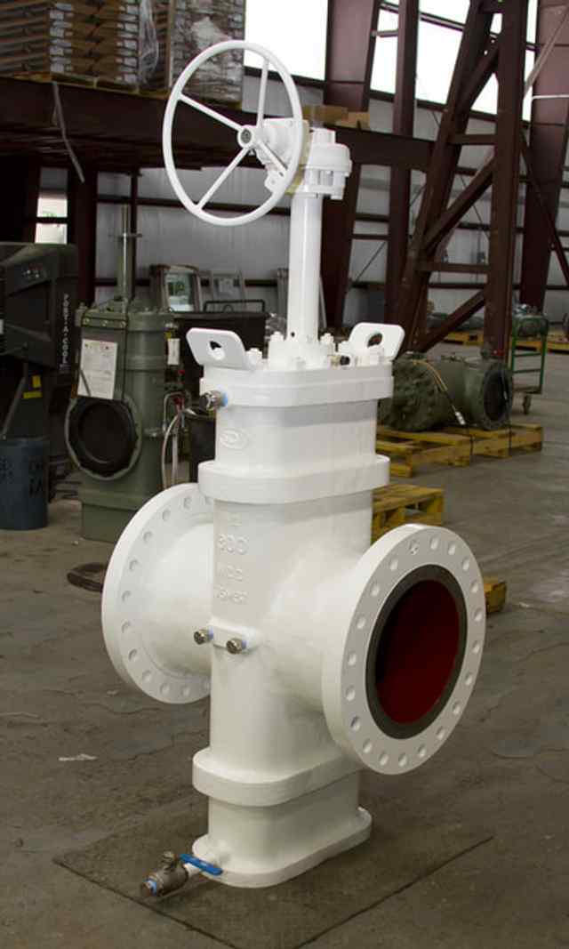 mg_0175_small.jpg mg_0175_small.jpg