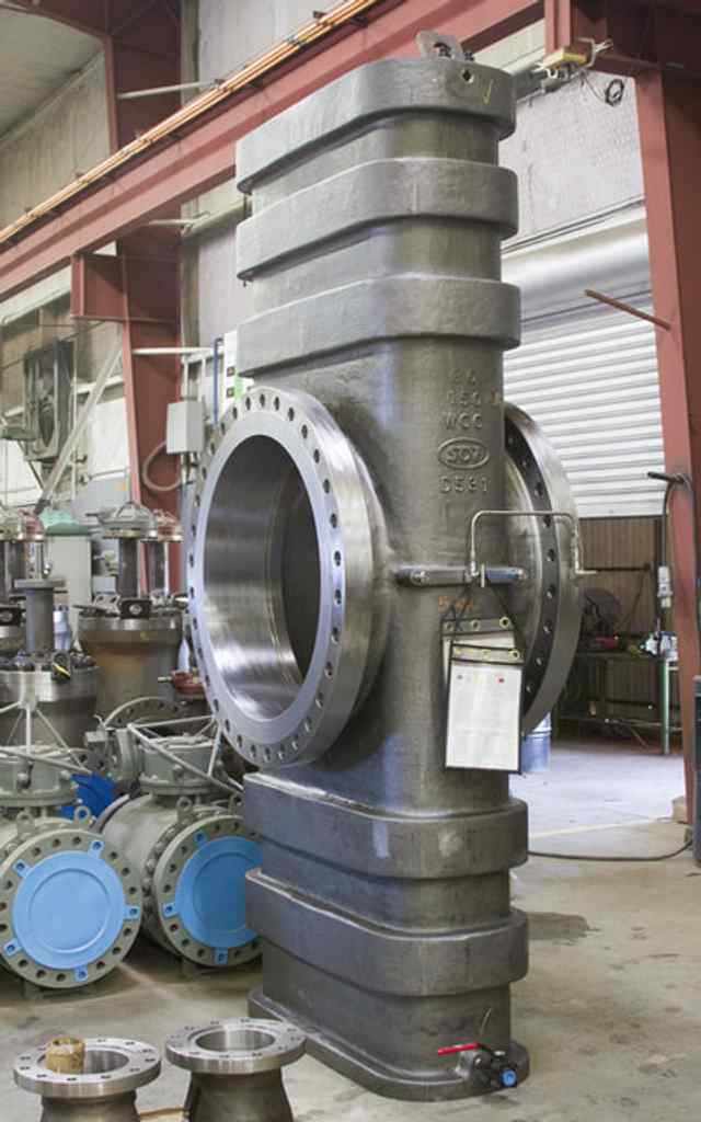 mg_9961_1.jpg mg_9961_1.jpg