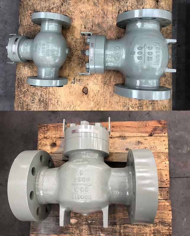 pck_variety.jpg pck_variety.jpg