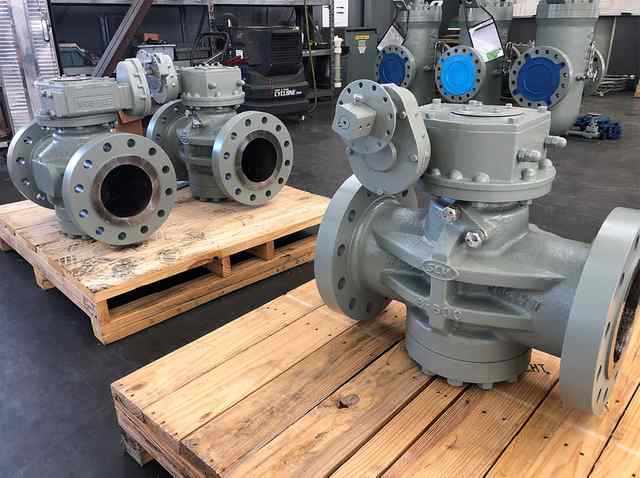 plg_02.jpg plg_02.jpg