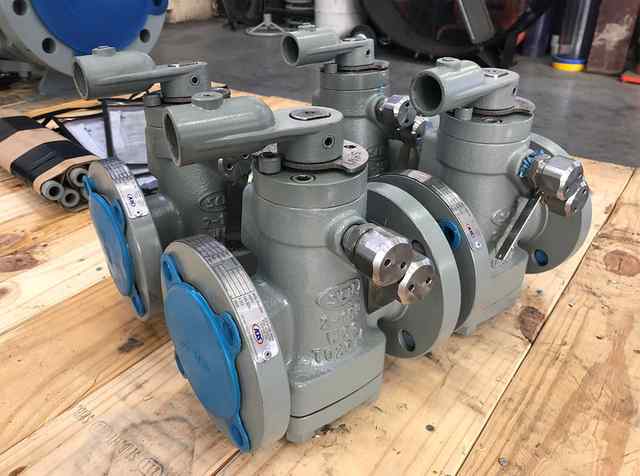 plg_034.jpg plg_034.jpg