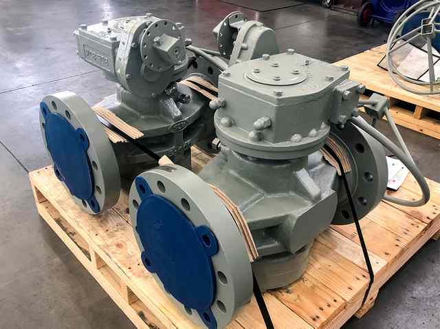 plg_039.jpg plg_039.jpg