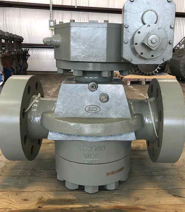 plg_6_2500.jpg plg_6_2500.jpg