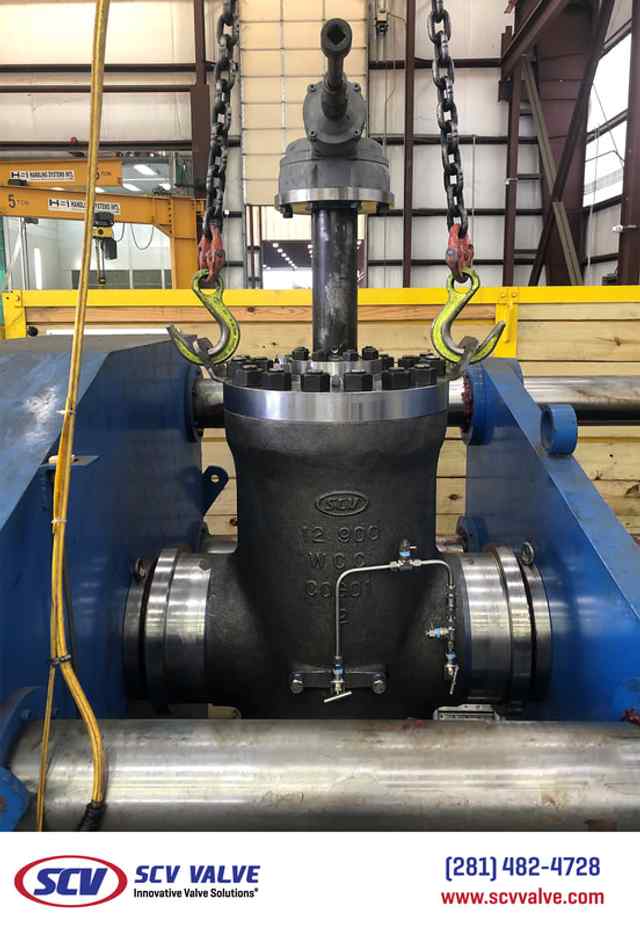 tcg_23.jpg tcg_23.jpg