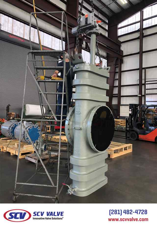 tcg_24.jpg tcg_24.jpg