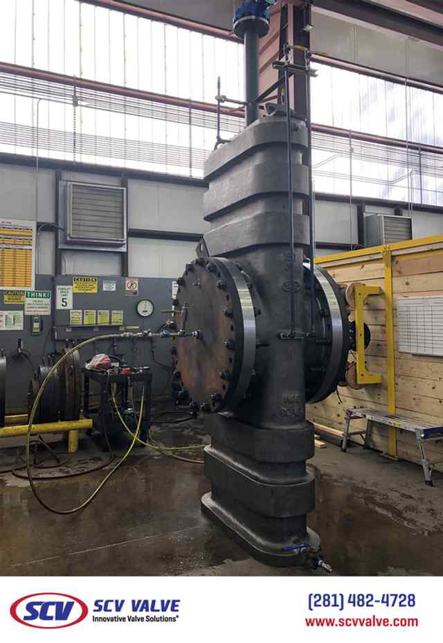 tcg_40.jpg tcg_40.jpg