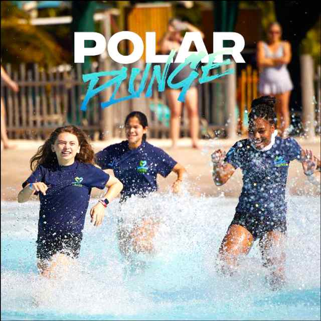 Polar Plunge