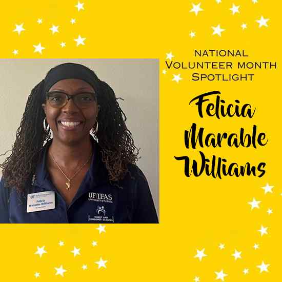 Selebre Volont&egrave; nou yo