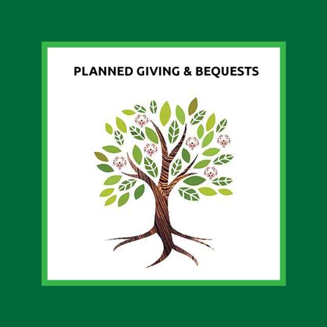 Planifikasyon Imobilye