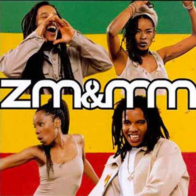 Wins Grammy for Best Reggae Album