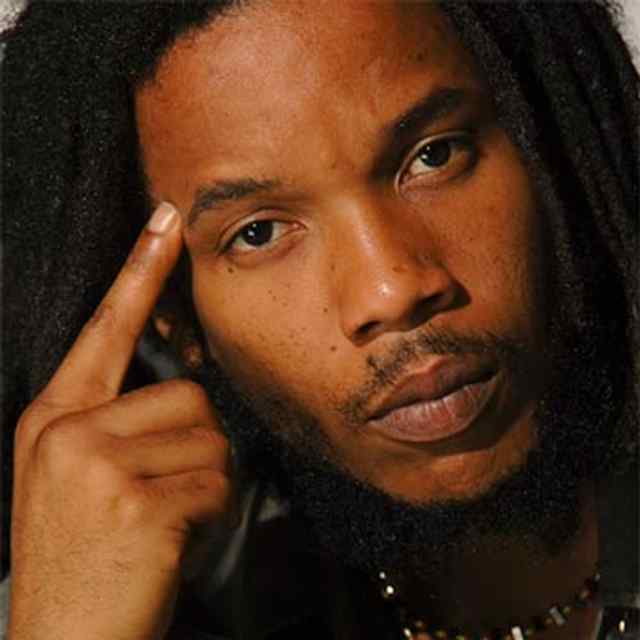 Wins Grammy for Best Reggae Album