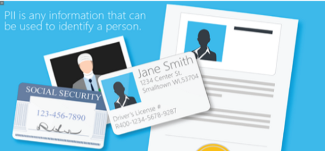 Privacy and PII Brief (India Localization)