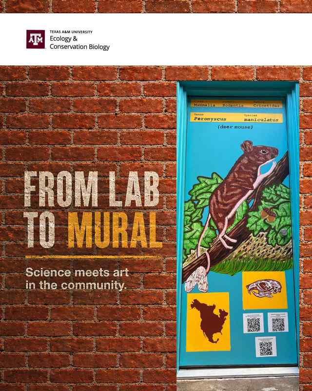 Science Meets Art in Downtown Bryan