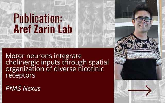 New research from TAMU Biology