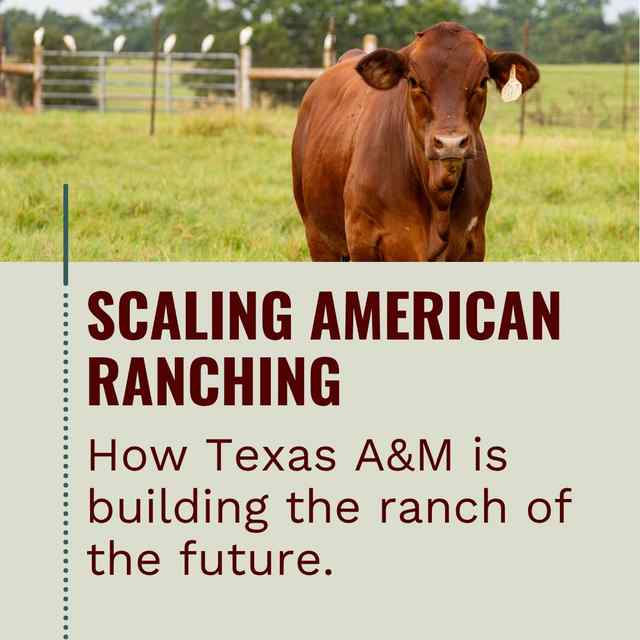 AgriLife Research was featured in Esri for its work at the AgriTech Innovation Hub