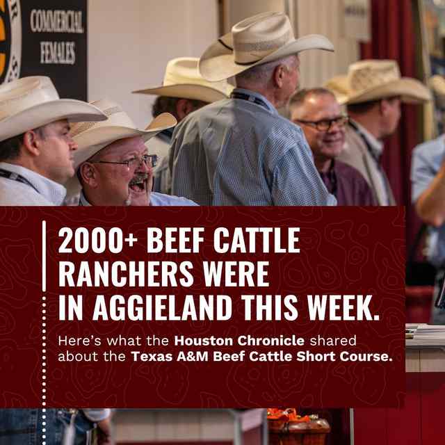 The Texas A&M Beef Cattle Short Course was featured by the Houston Chronicle