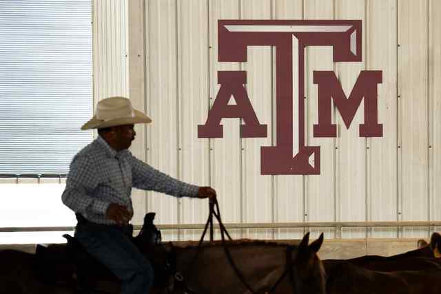 Best of Texas A&M Beef Cattle Short Course!