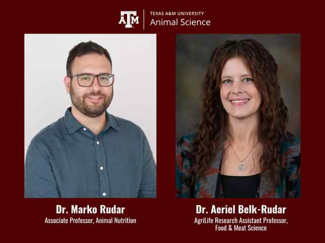 Texas A&M Animal Science welcomes two new faculty experts.