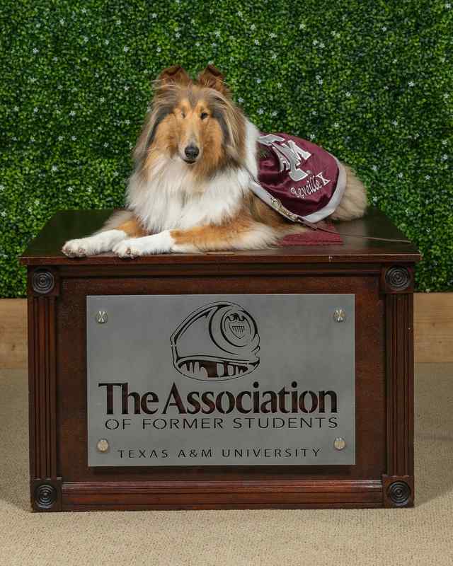 Just a reminder that the Aggie Network has a pretty good queen.