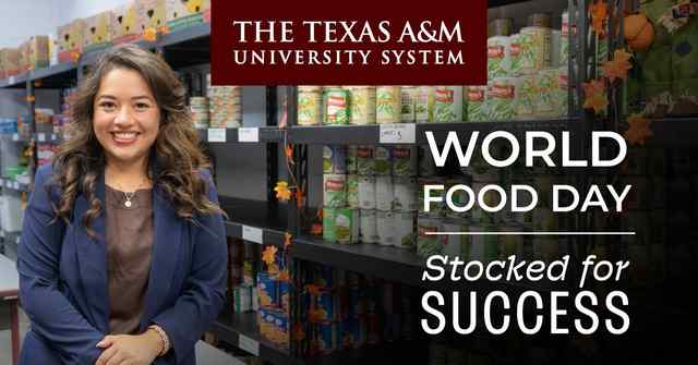 Stocked for Success