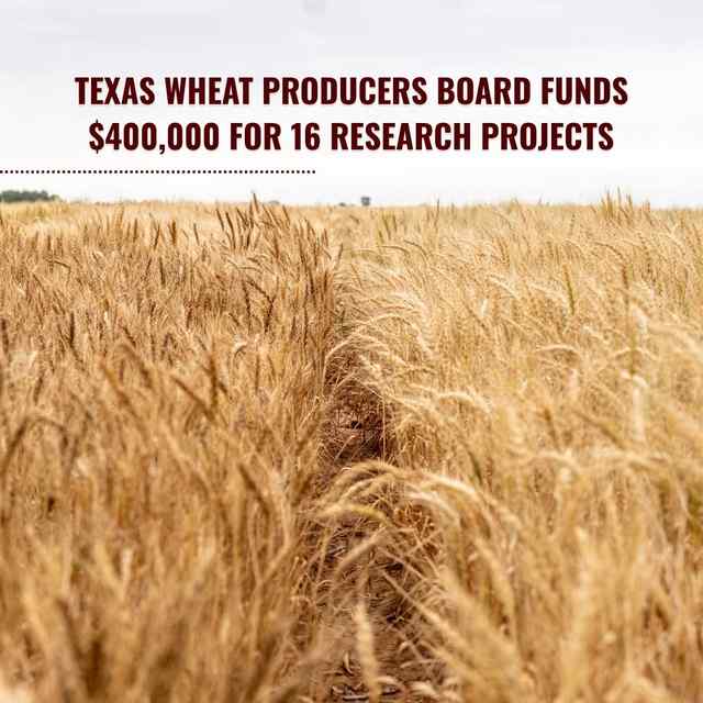 AgriLife Research Initiatives