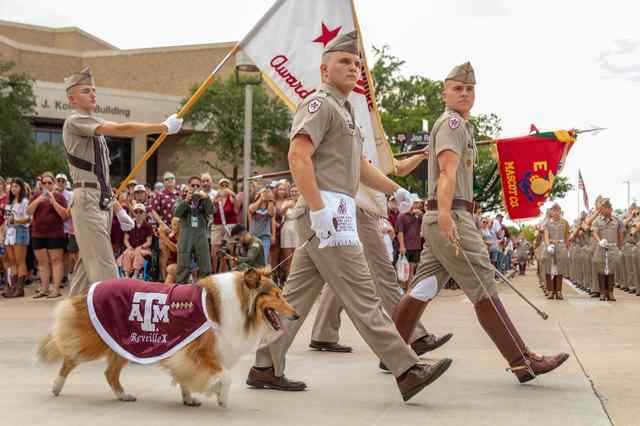 Happy National Mascot Day!
