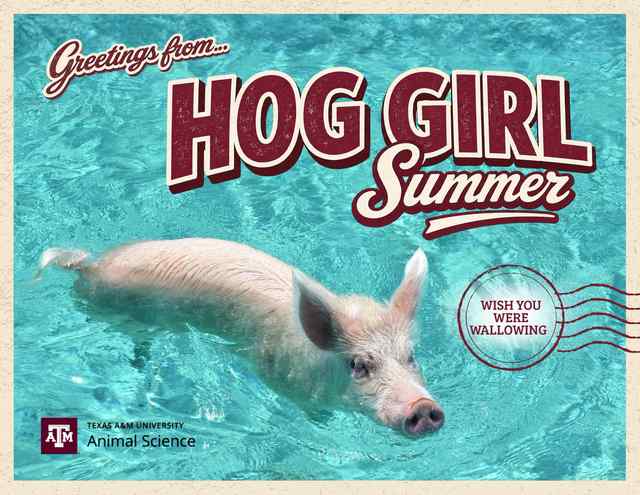 Hog Girl Summer!