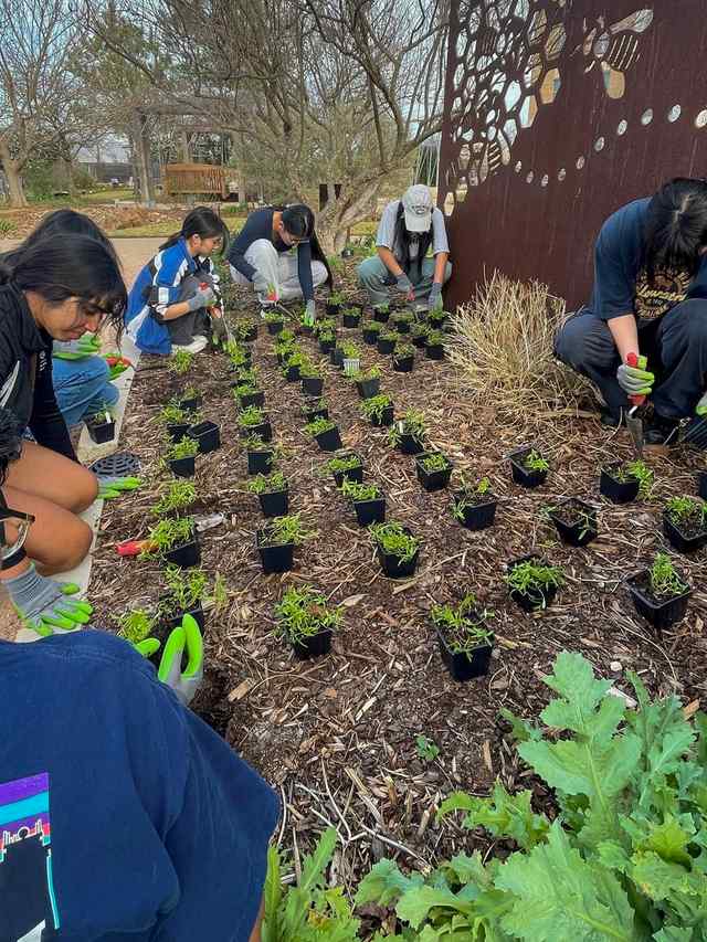 Leach Teaching Gardens planting seeds