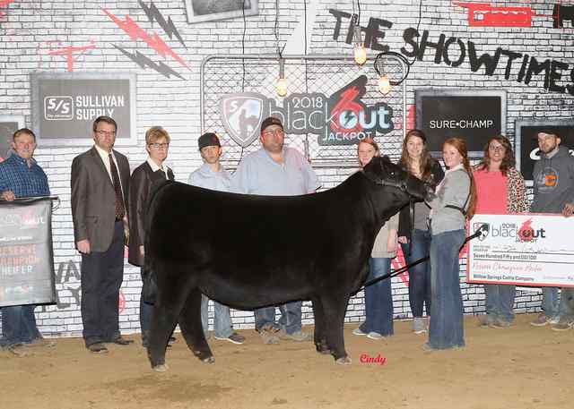Reserve Champion Heifer